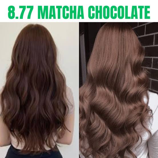 Bremod 8.77 MATCHA CHOCOLATE Hair Color Dye Cream 100ml & Oxidizer - 9% OR 12%