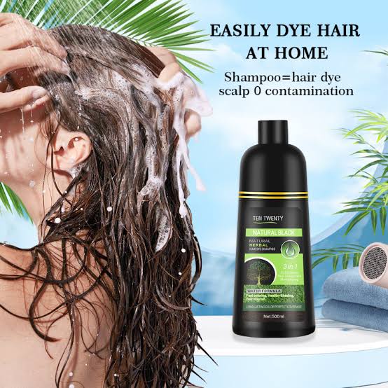 TEN TWENTY 3-in-1 Natural Herbal Hair Dye Shampoo Black Hair Color 500ml