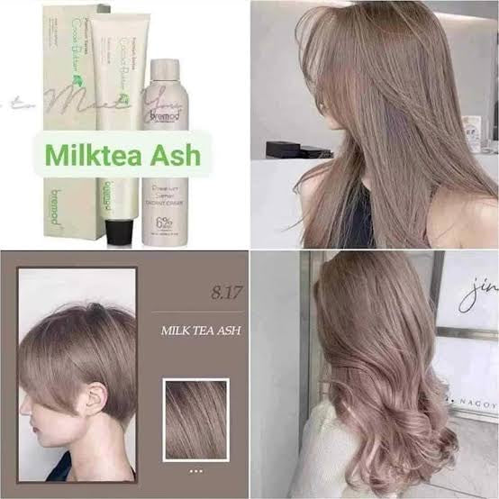 Bremod 8.17 Milk Tea Ash Hair Color Dye Cream 100ml & Oxidizer - 12%