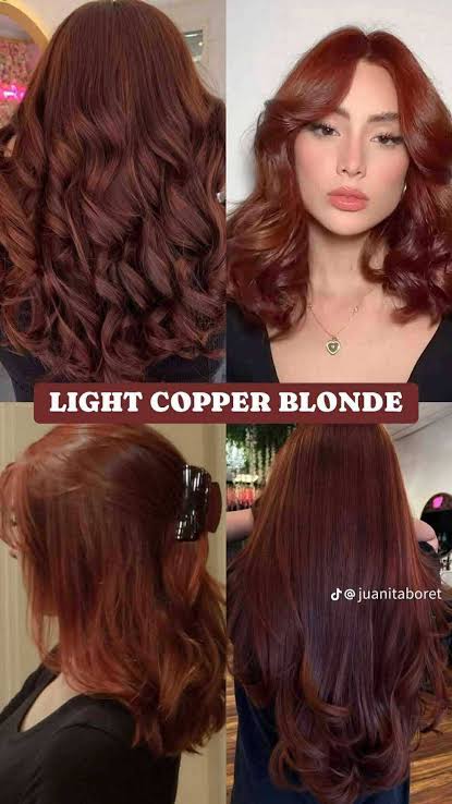 Bremod 8.43 Light Copper Blonde Hair Color Dye Cream 100ml & Oxidizer 12% or 9%