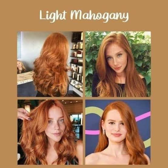 Bremod 7.56 Light Mahogany Hair Color Dye Cream & 6% Oxidizer